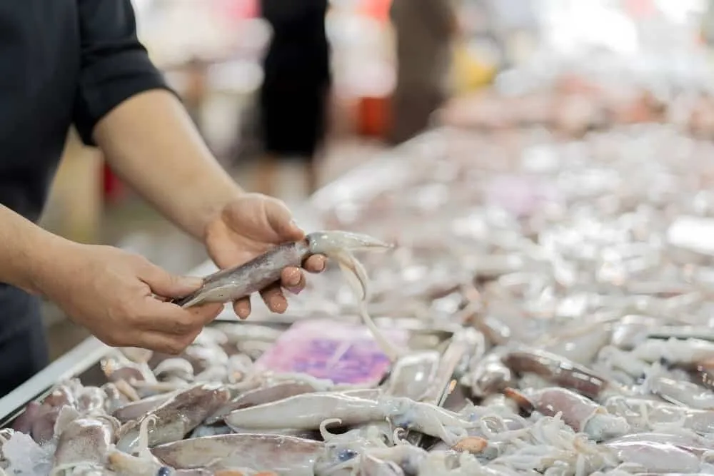 cách nấu cháo hải sản cho bé ăn dặm