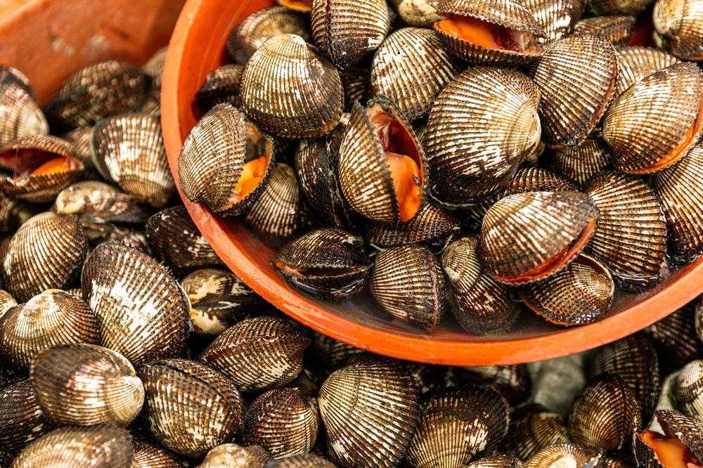 cách nấu cháo hải sản cho bé ăn dặm: cháo sò huyết