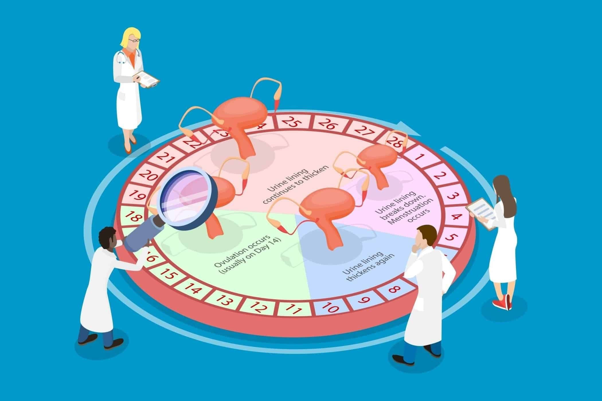 Tìm hiểu về chu kỳ kinh nguyệt