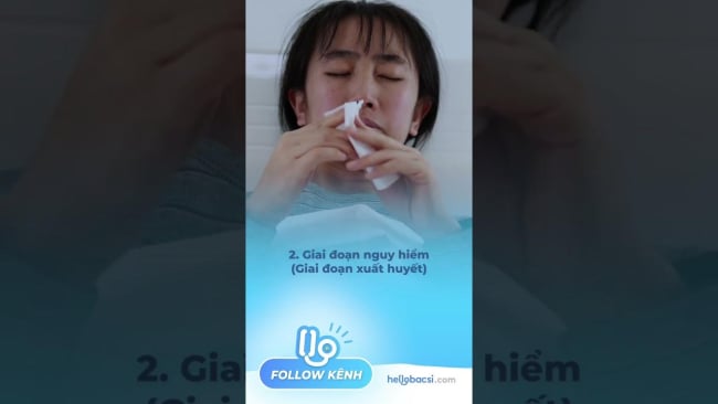 4 giai đoạn của bệnh sốt xuất huyết