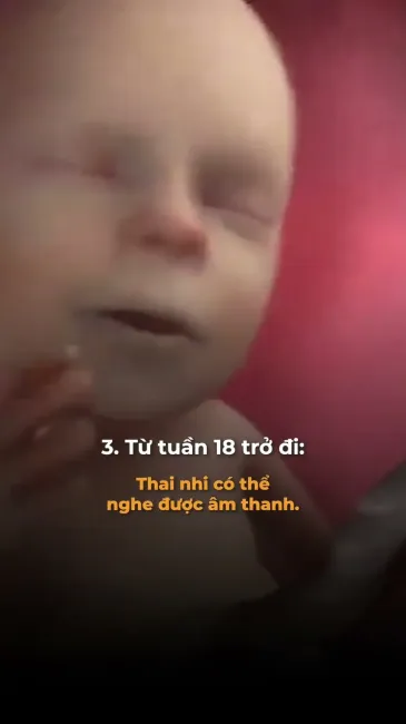 6 sự thật về thai nhi không phải ai cũng biết