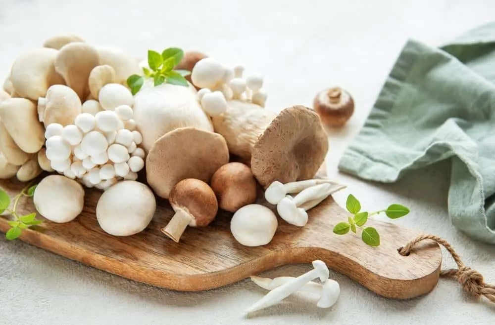 Cháo nấm ăn dặm cho bé