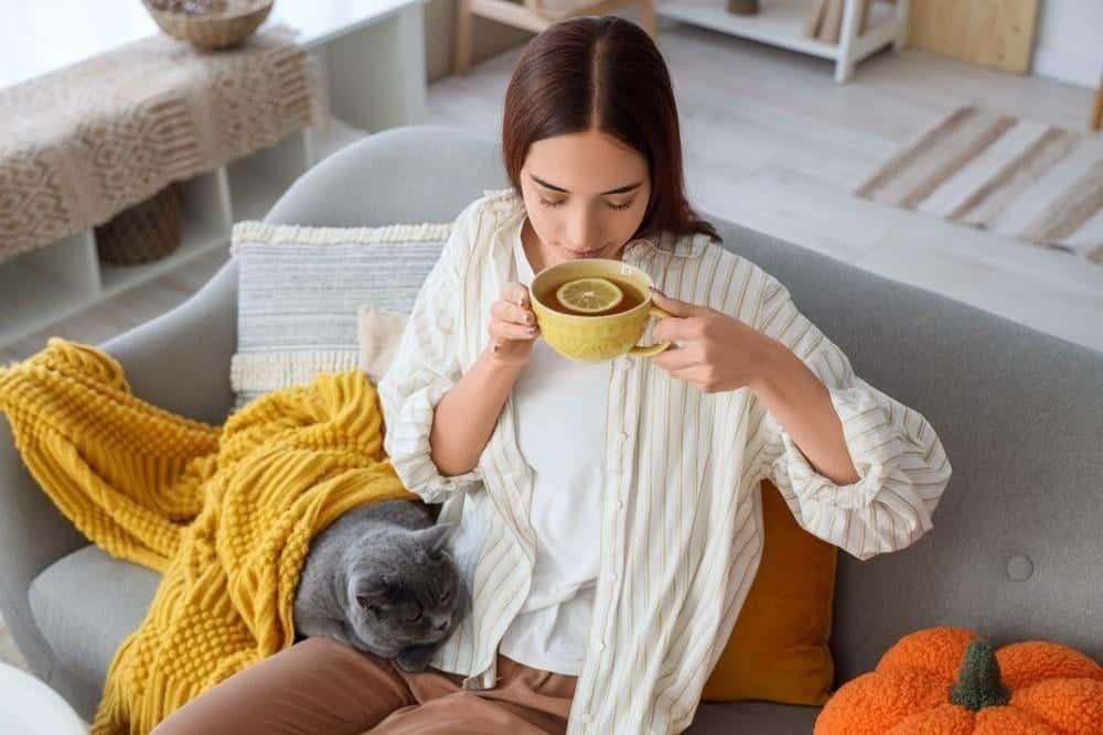 trà giúp cân bằng nội tiết tố nữ