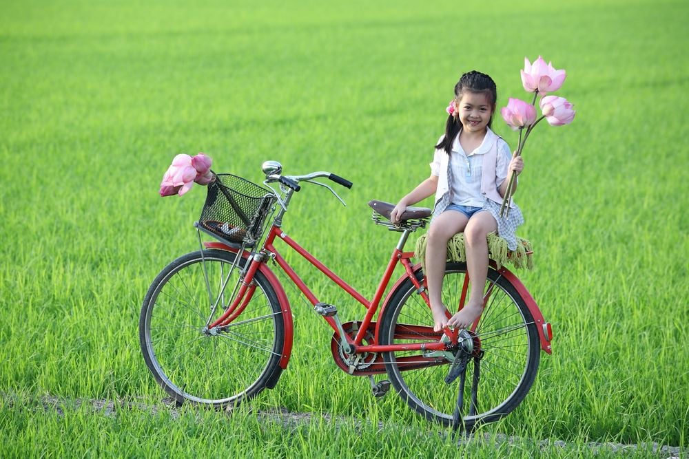 ý nghĩa tên Liên