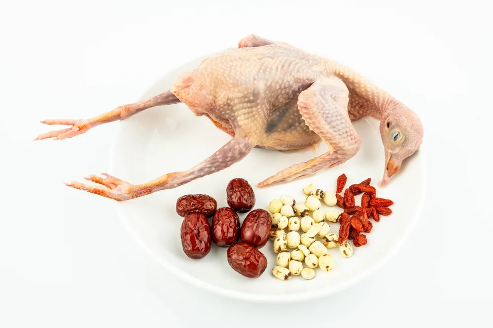 Cách hầm bồ câu hạt sen táo đỏ