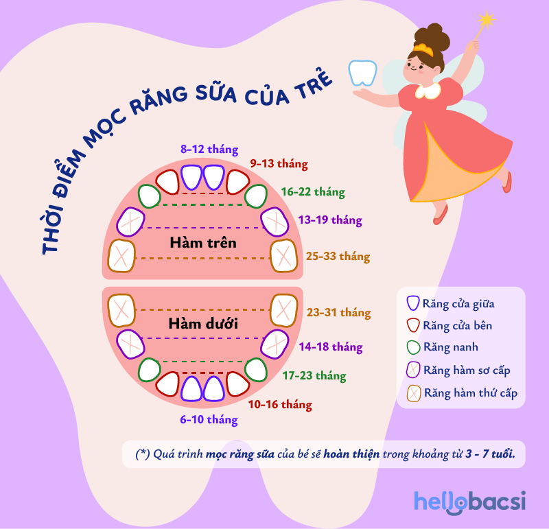 thứ tự mọc răng của trẻ
