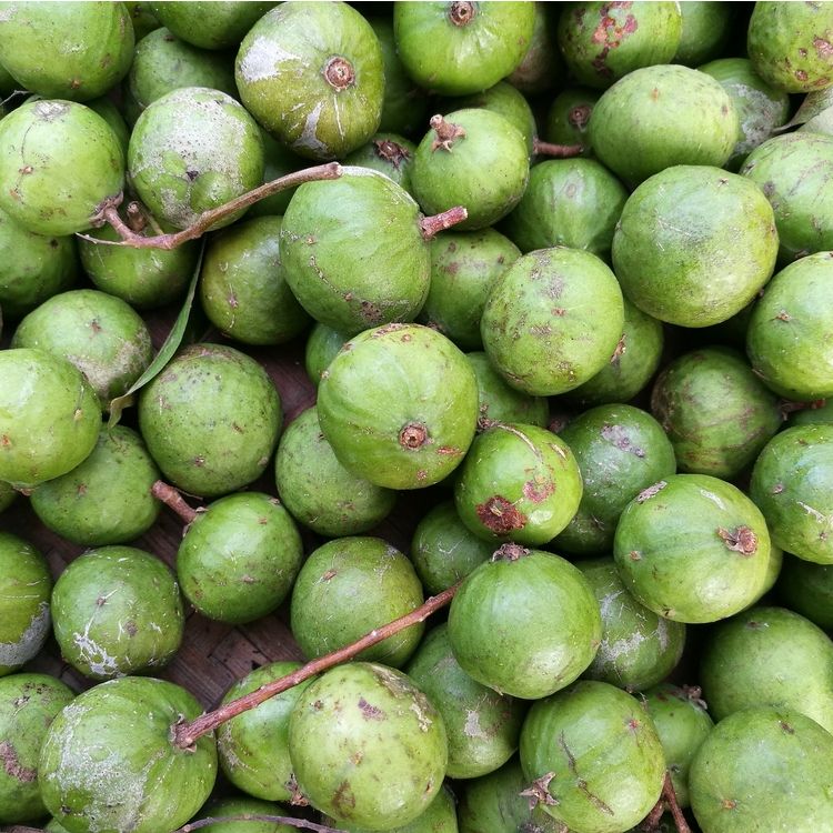 cách chọn sấu ngâm