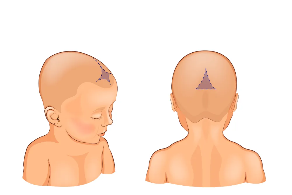 thóp trẻ sơ sinh là gì