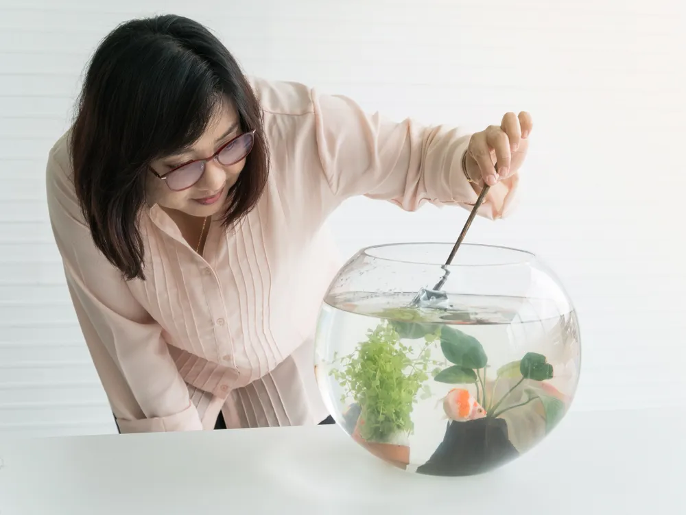 cách diệt lăng quăng