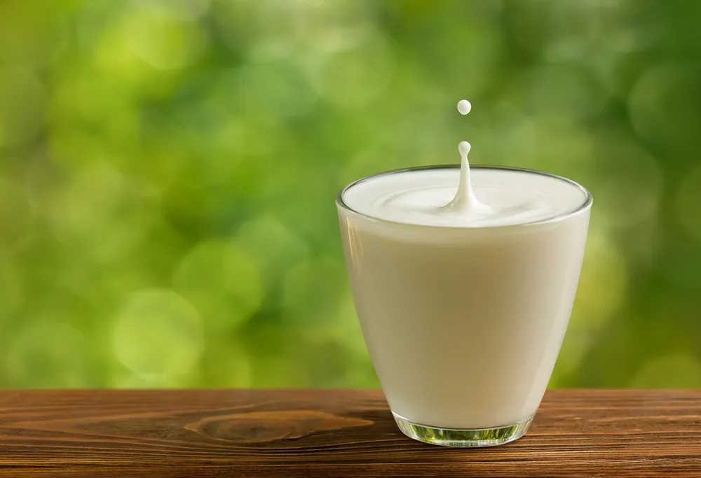 đạm sữa giúp bé tiêu hóa khỏe