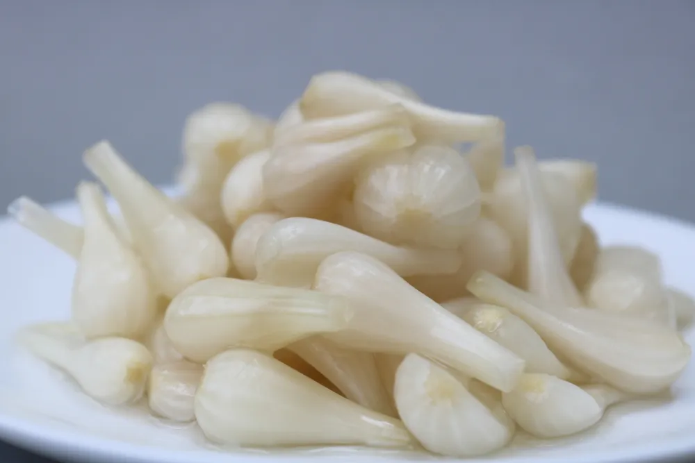 củ kiệu ngâm để được bao lâu