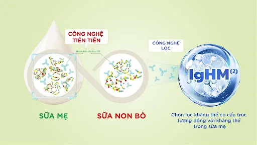 IgHM - kháng thể có cấu trúc 3D tương đồng kháng thể sữa mẹ
