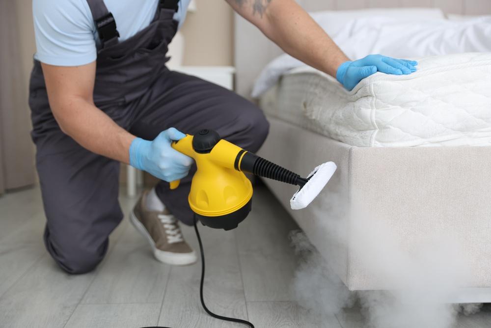 Phun thuốc muỗi bao lâu thì hết độc? Hướng dẫn an toàn khi phun thuốc diệt muỗi